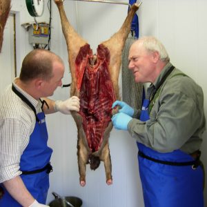 Carcass handling and butchery courses