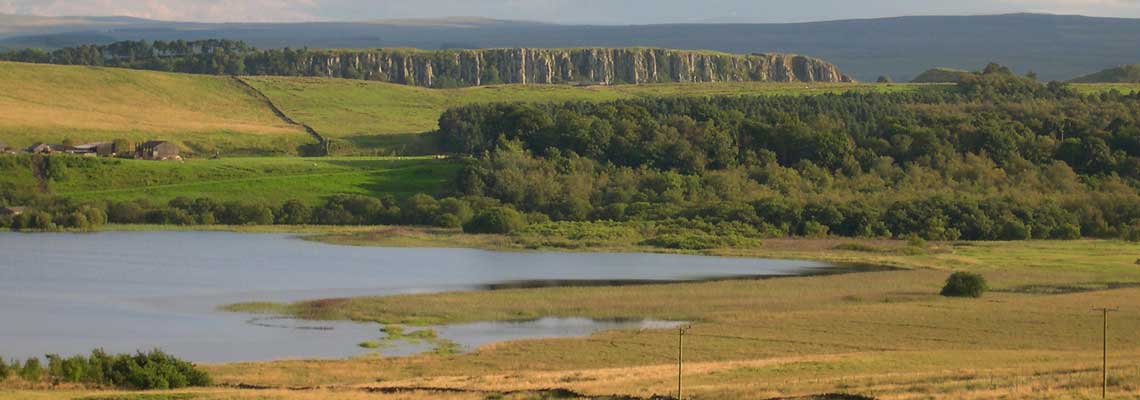 Deer Management in stunning countryside