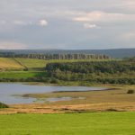 View over Greenlee estate