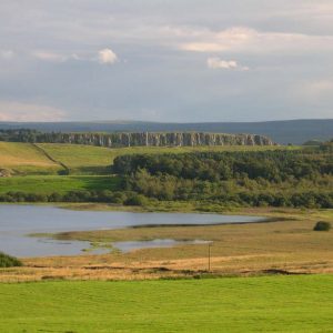 View over Greenlee estate