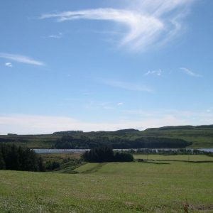 View over Greenlee estate